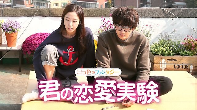 韓国ドラマ 君の恋愛実験の無料動画配信視聴 １話全話を吹替 日本語字幕配信で ドラマの響 動画無料視聴